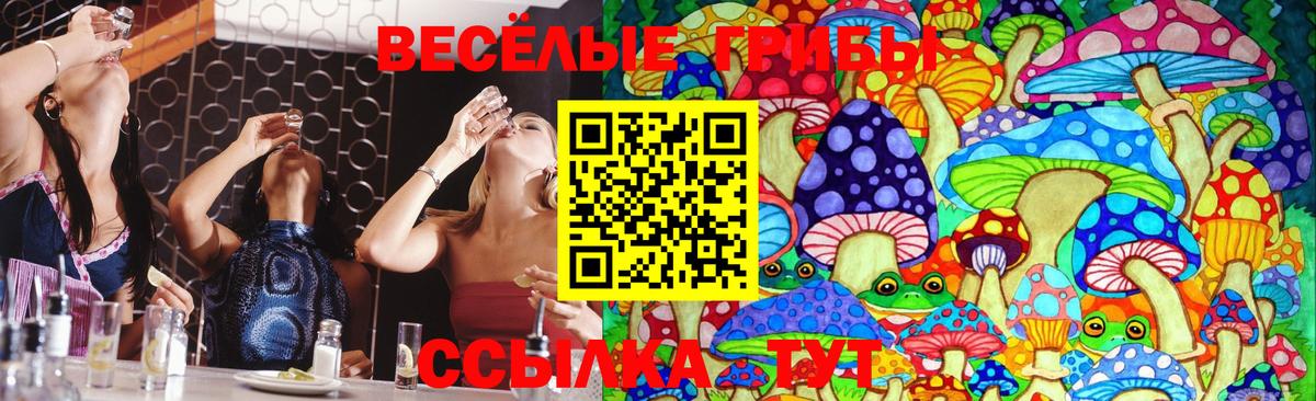 Псилоцибиновые грибы мухоморы  Псилоцибиновые грибы мухоморы  Горно-Алтайск  Вход с VPN 